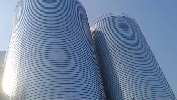 镇赉2座混凝土高架卷板仓